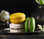 ����� �ʷϻ� ��� ��ī��